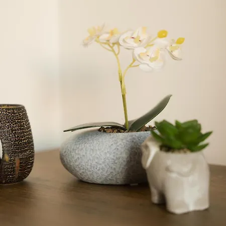 アパート Vucica *